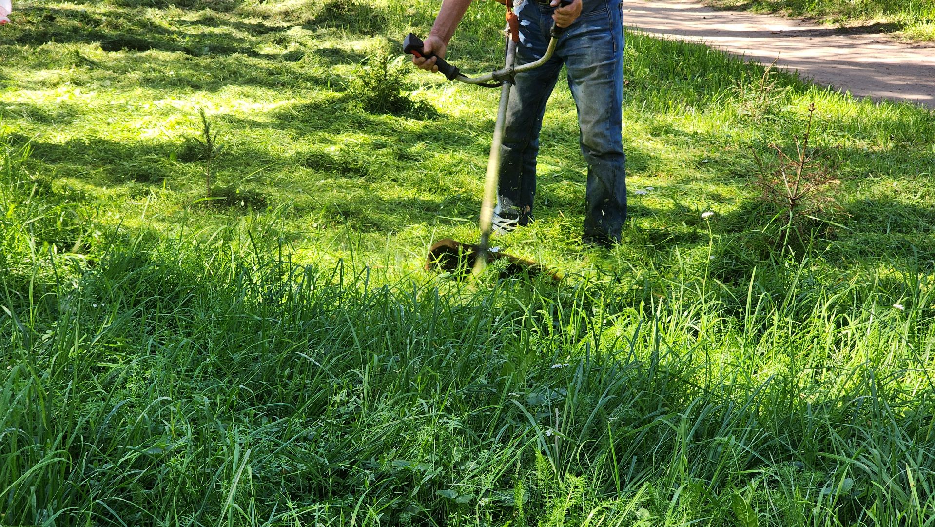 покос территории, благоустройство, противопожарная безопасность,