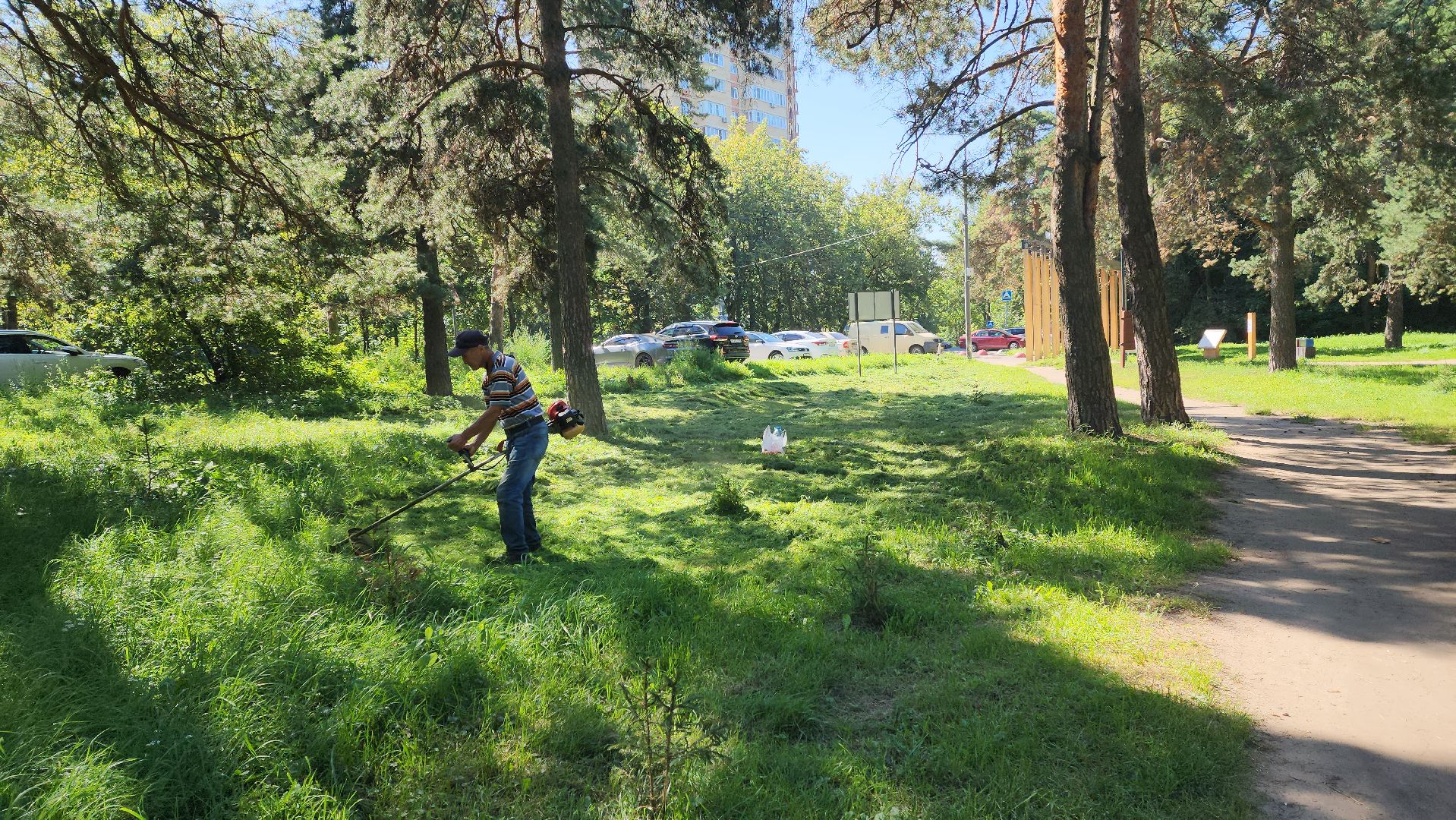 покос территории, благоустройство, противопожарная безопасность,