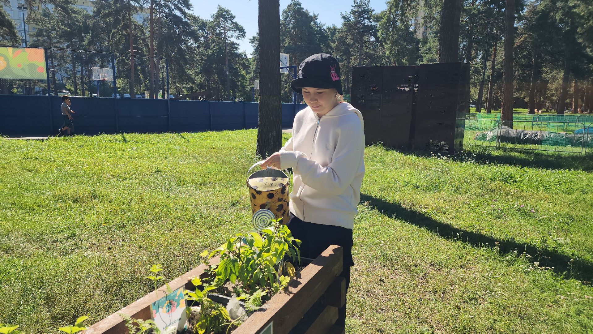 трудоустройство подростков, трудовая бригада, уборка,