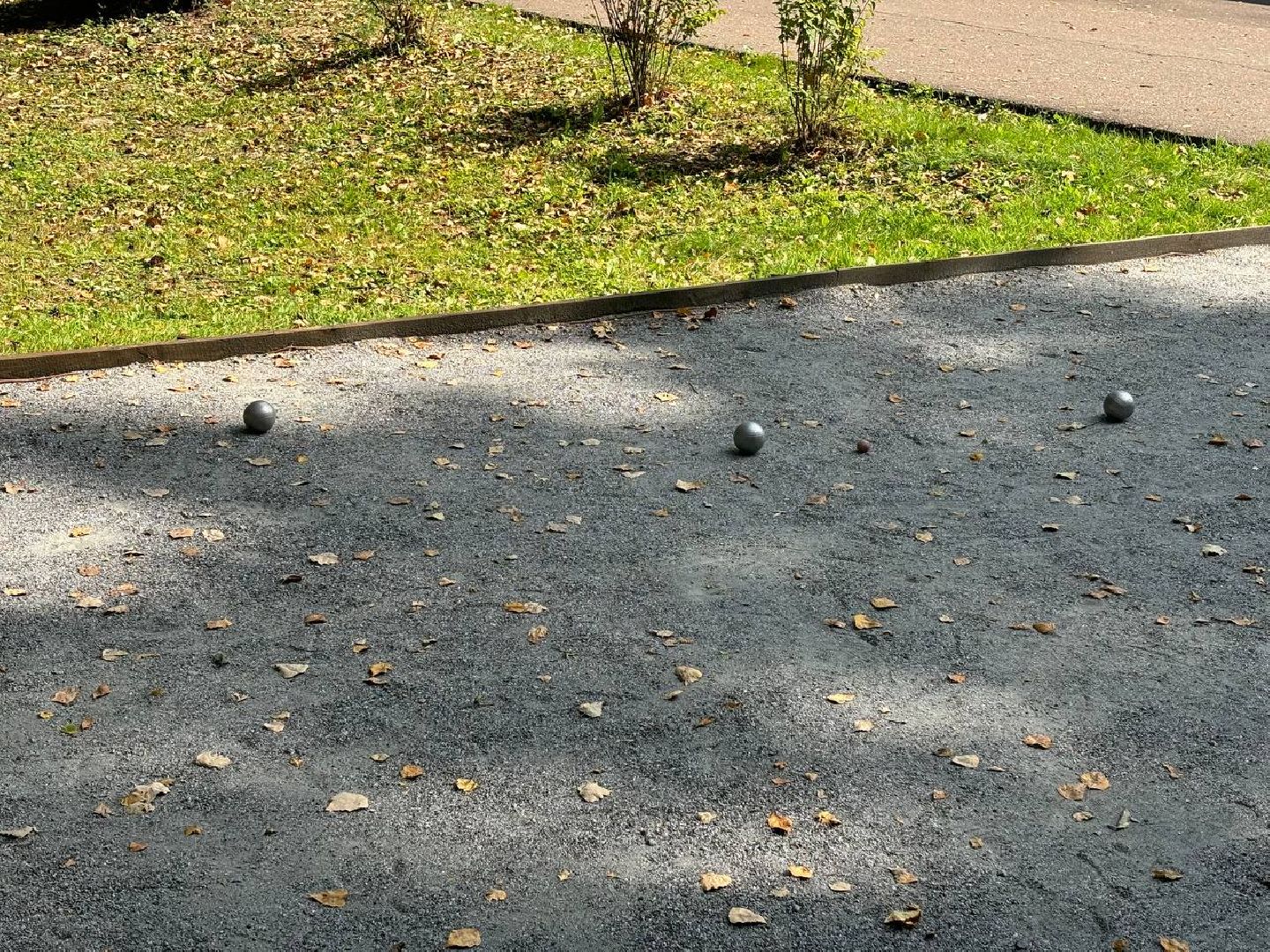 игра в петанку, парк Елочки, Активное долголетие, Домодедово,