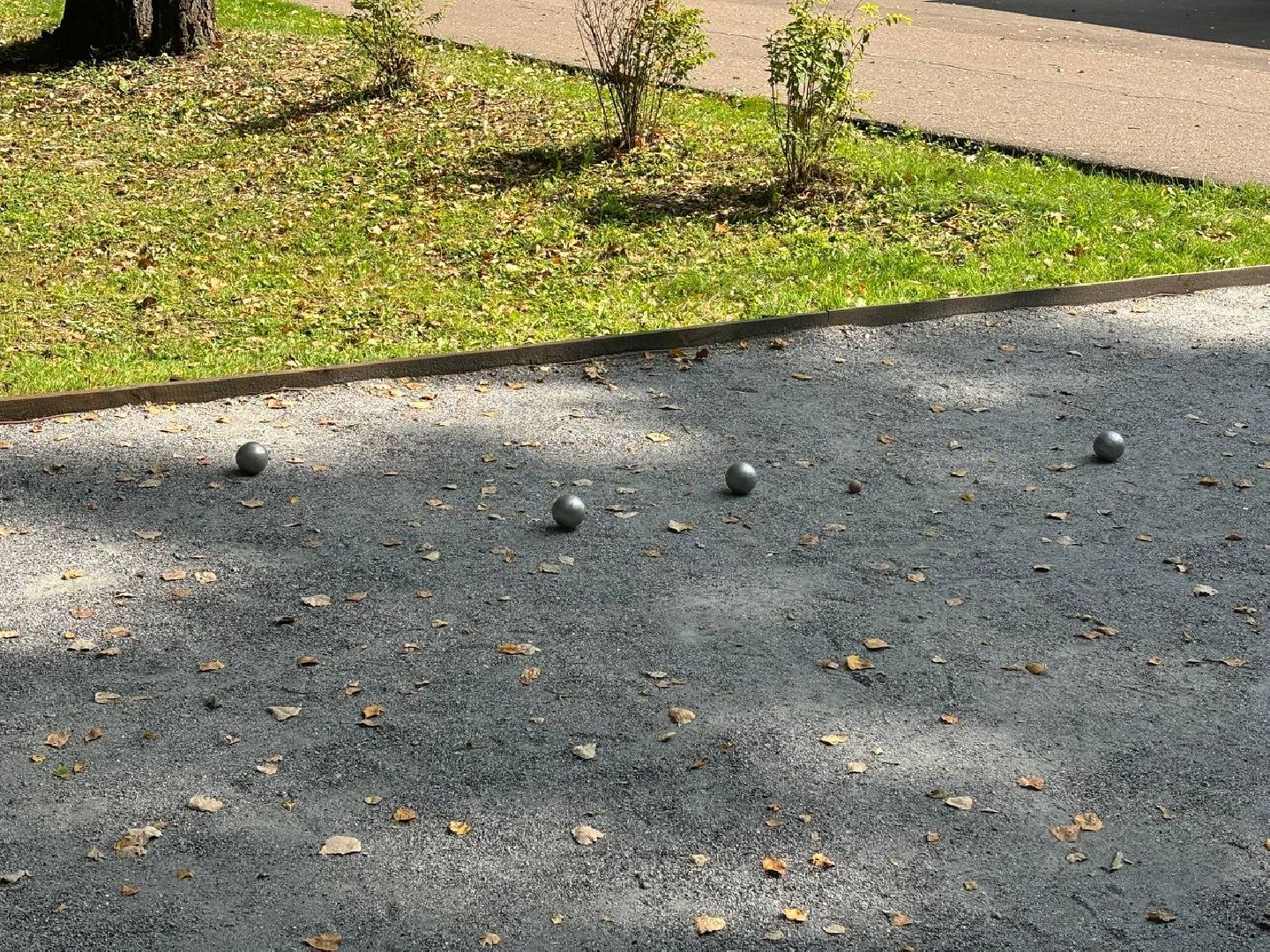 игра в петанку, парк Елочки, Активное долголетие, Домодедово,