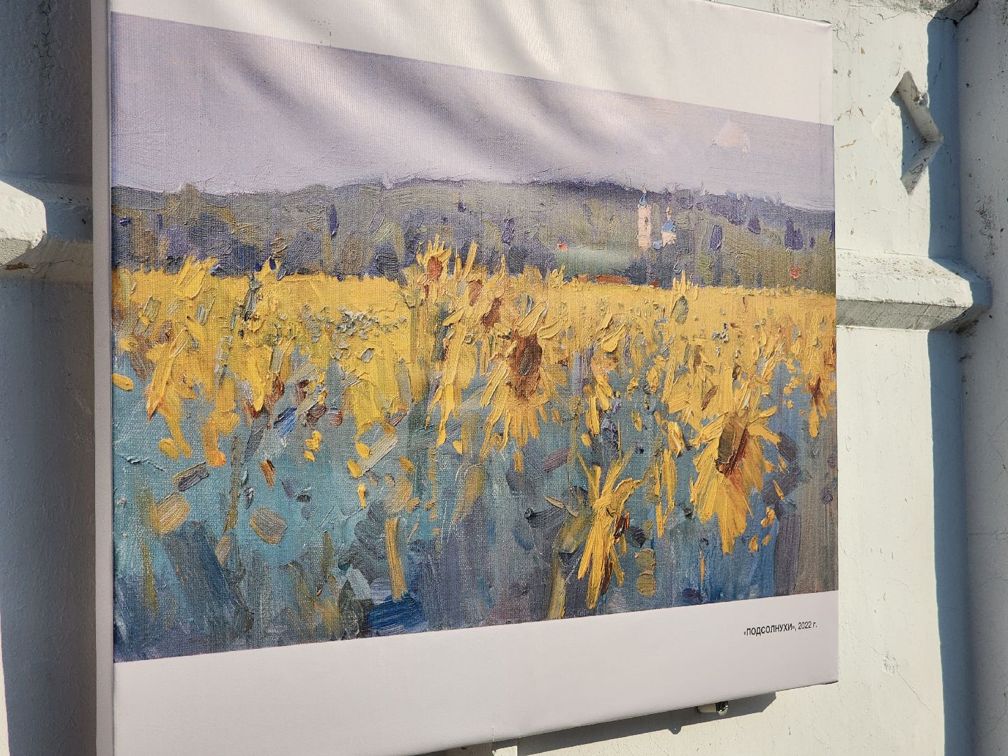 Коломна, культура, выставка под открытым небом,