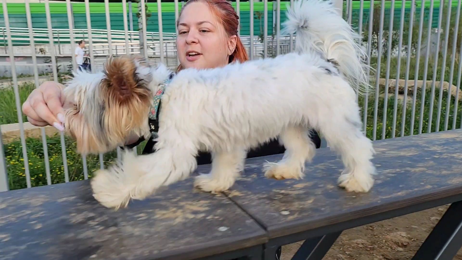 одинцово, благоустройство, площадка для выгула собак,