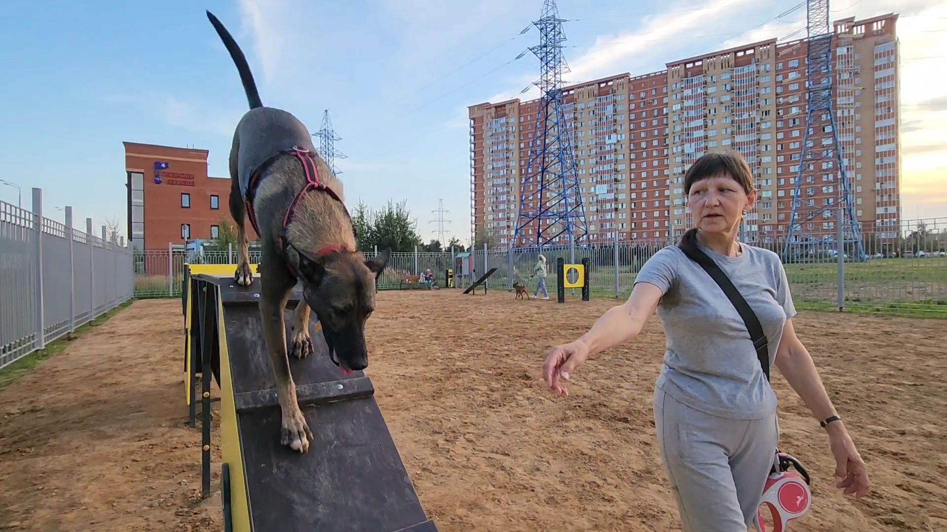 одинцово, благоустройство, площадка для выгула собак,