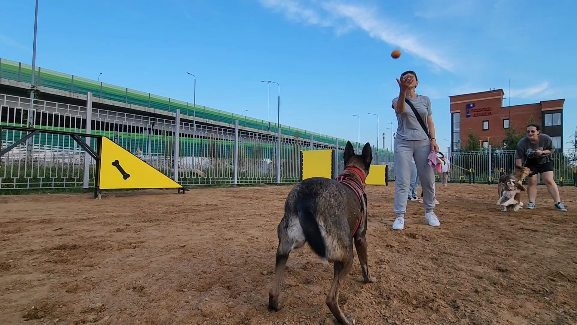 одинцово, благоустройство, площадка для выгула собак,