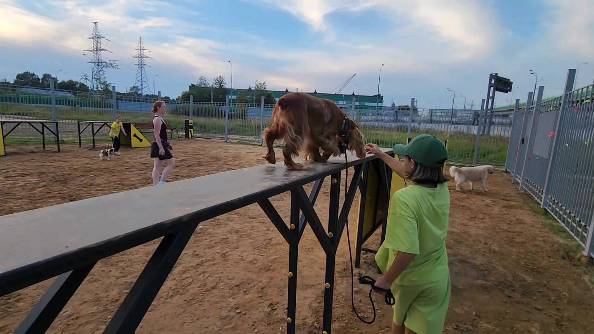 одинцово, благоустройство, площадка для выгула собак,