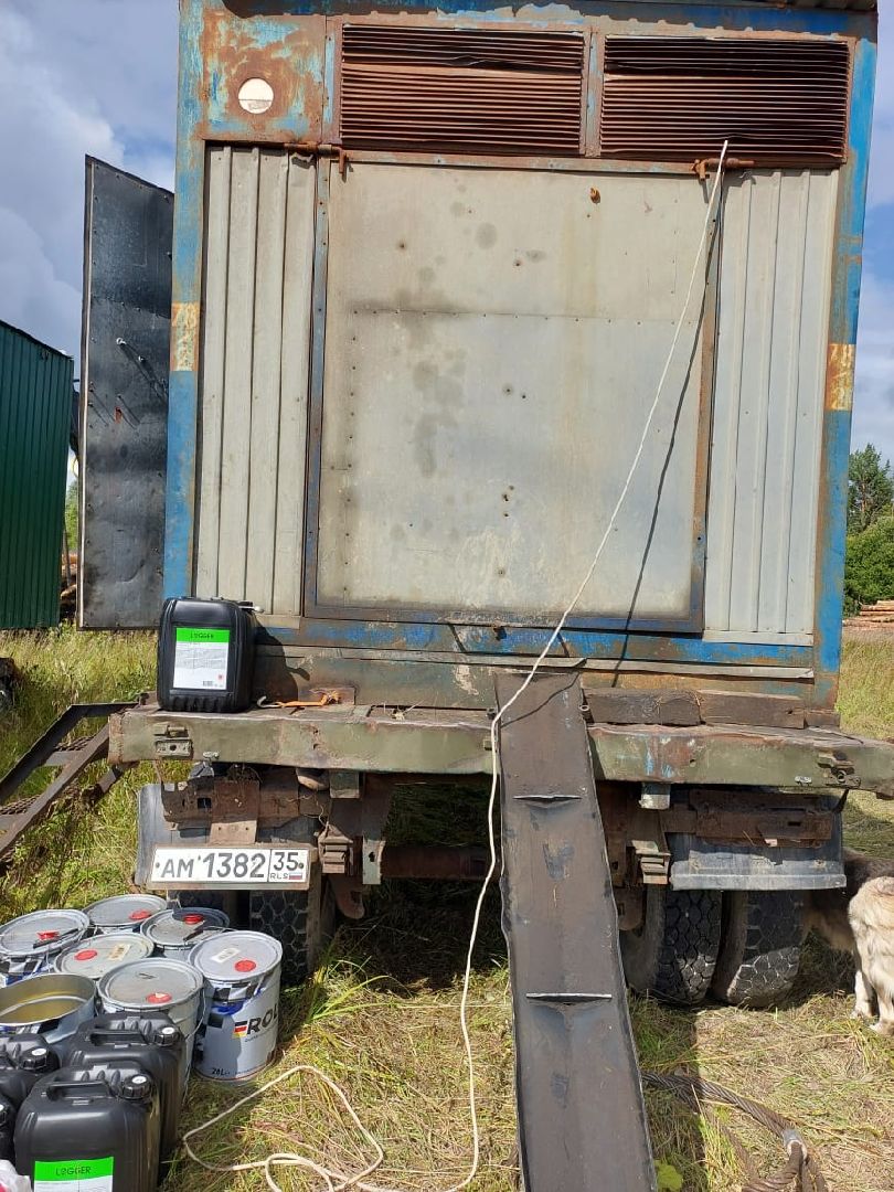 экология, вырубка леса, руза, ильятино, Экология Рузы, рузский городской округ, московская область, подмосковье,