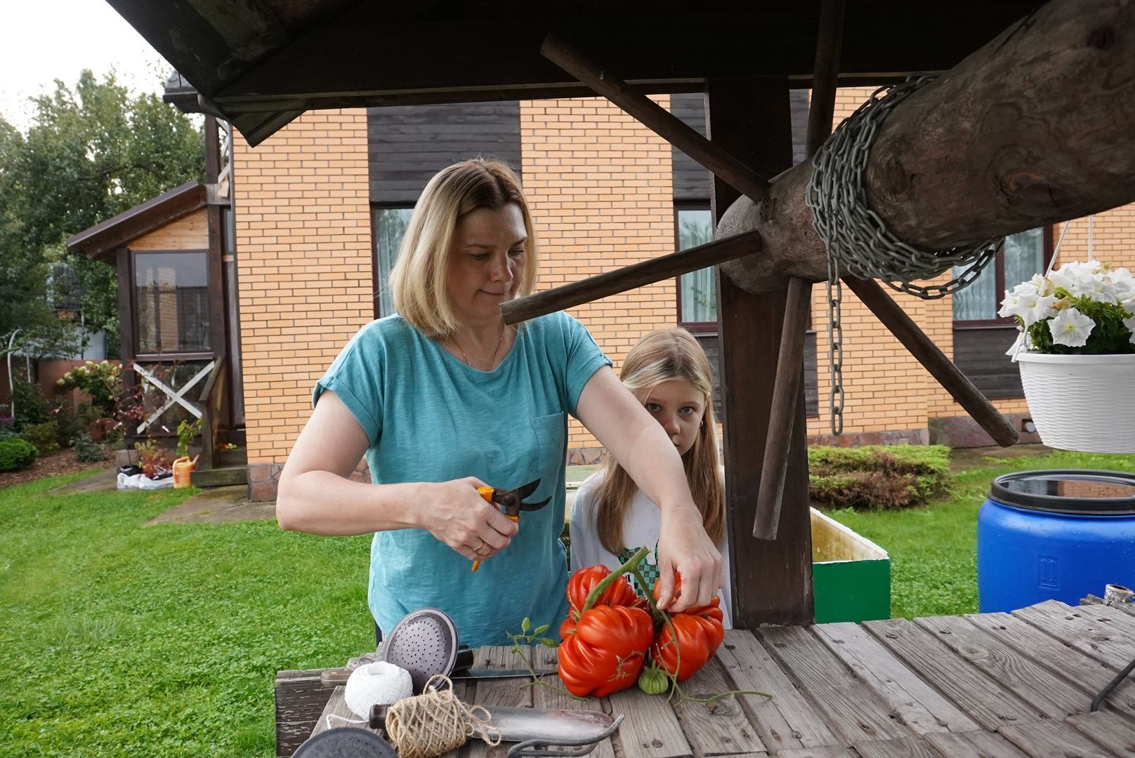 Павловский Посад, Городской округ Павловский Посад, Помидор, Рекорд, Хозяйство, Люди,Чебурашка, день рождения Чебурашки, Успенский,