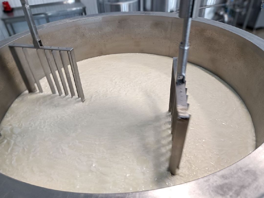 Можайск, общество