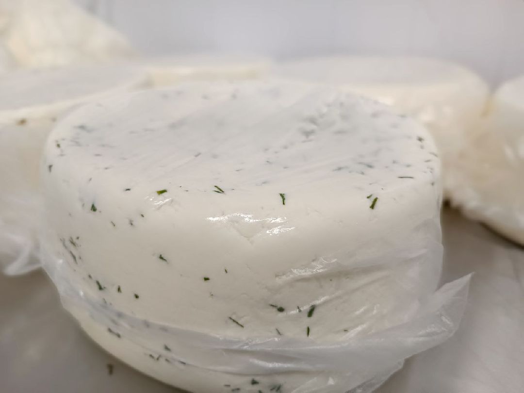 Можайск, общество