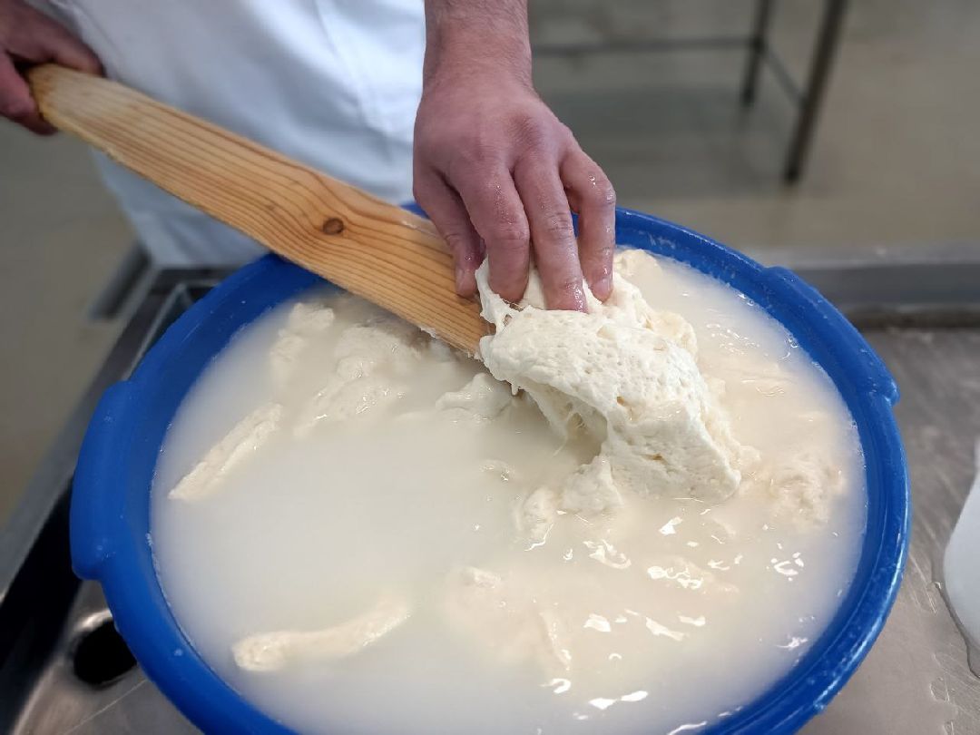 Можайск, общество