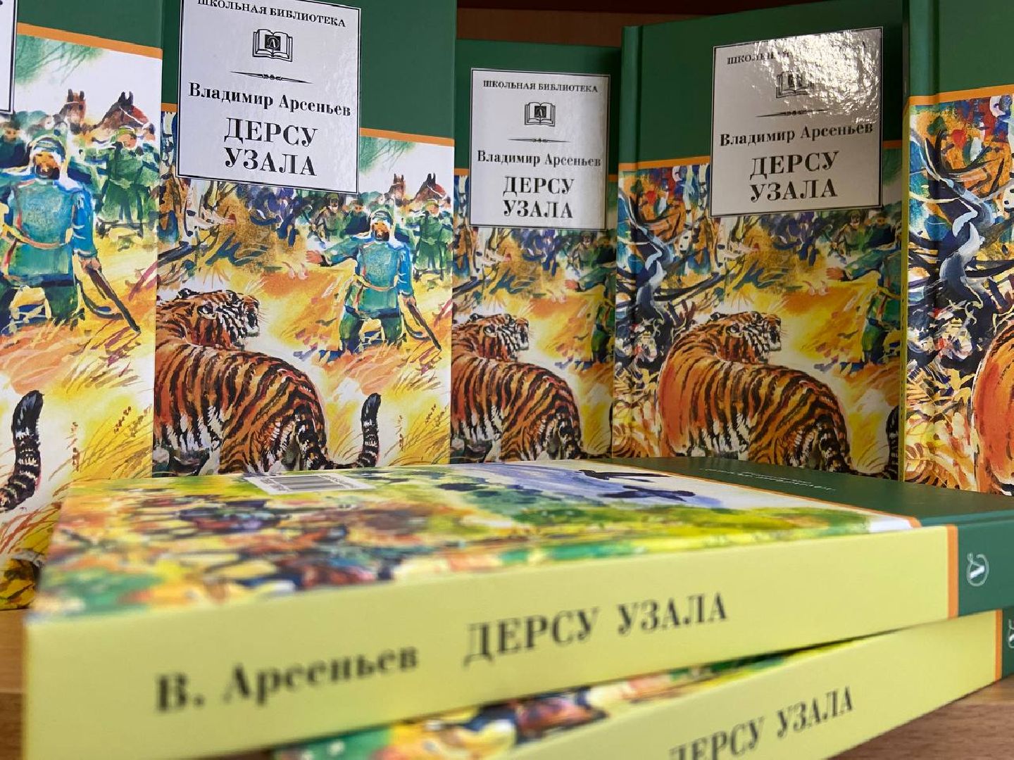 Красноармейск, тотальный диктант, отличники, русская грамота, библиотека