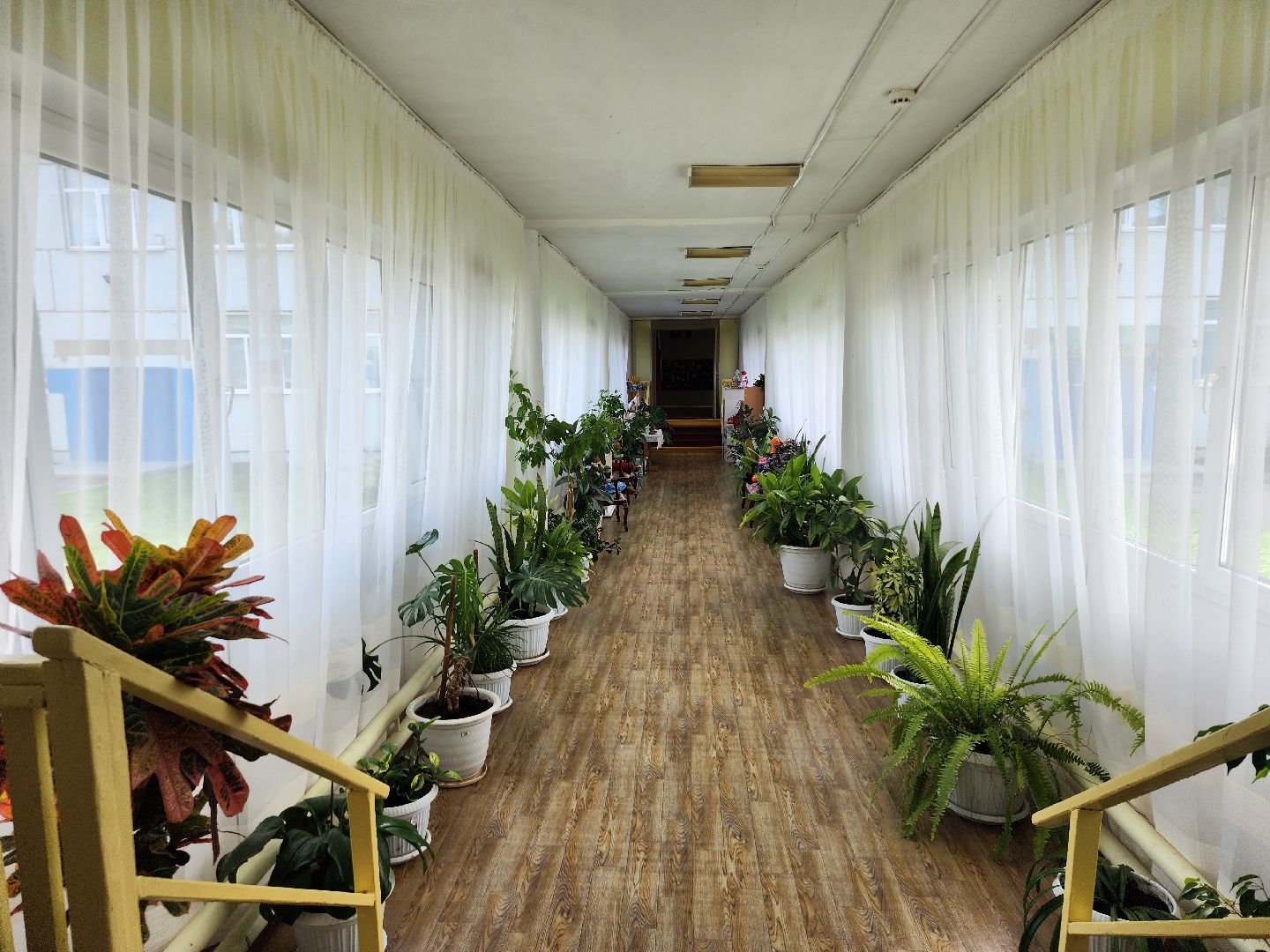 новый учебный год, образование, преподаватель, Ногинск, Богородский городской округ,