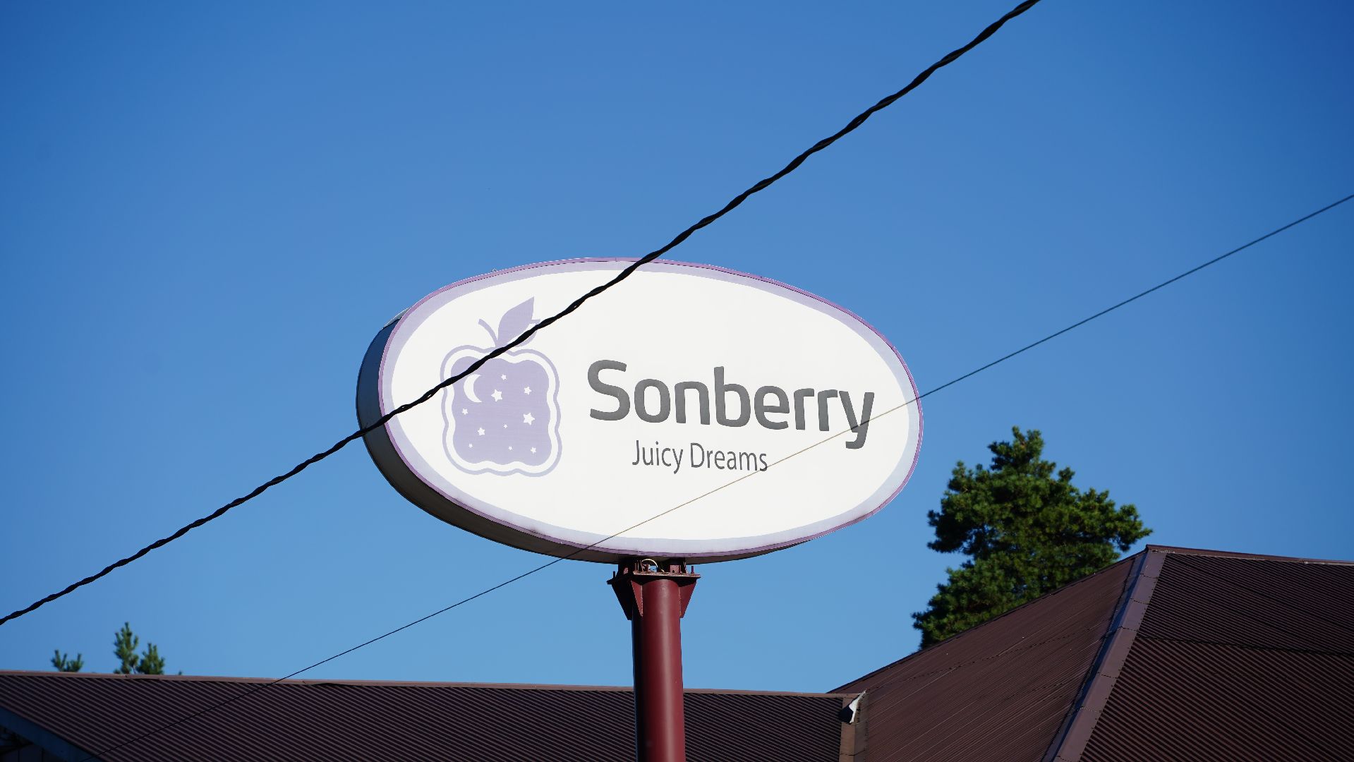 Курская область, помощь, гумпомощь, Большая Шатура, фабрика матрасов,