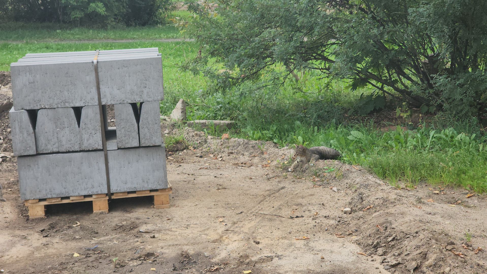 егорьевск, благоустройство, парковка, проезд, двор, двор асфальт,