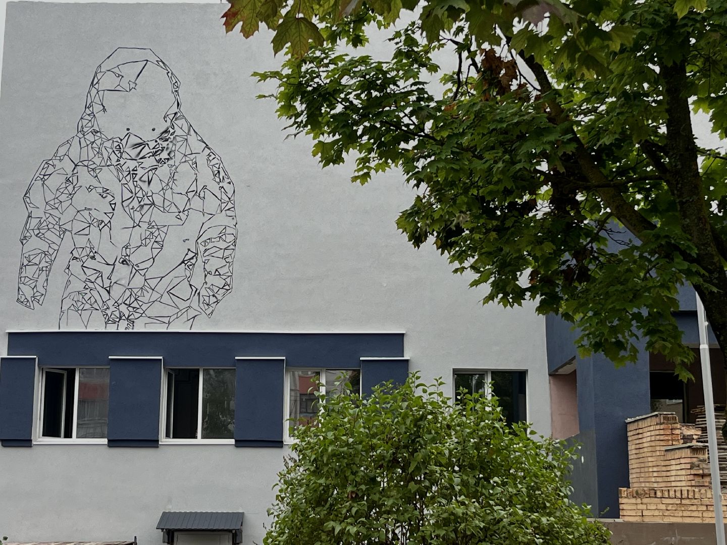 наро-фоминск, капитальный ремонт школы, космонавт виталий лебедев, наро-фоминский городской округ,