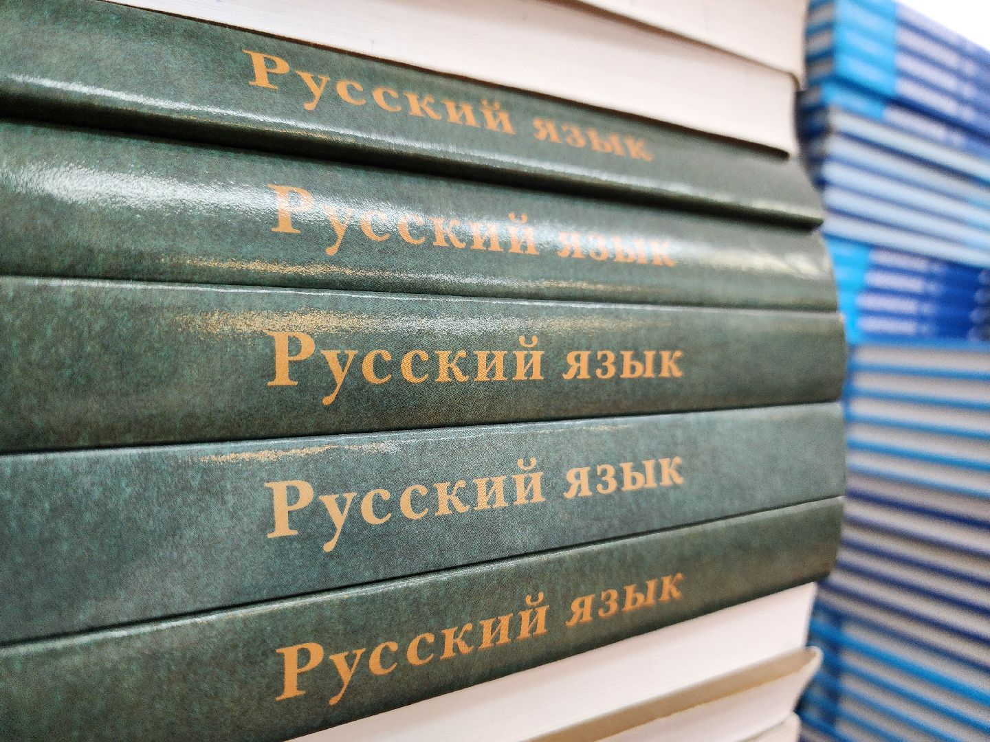 воскресенск, школы, учебники, дети, образование,