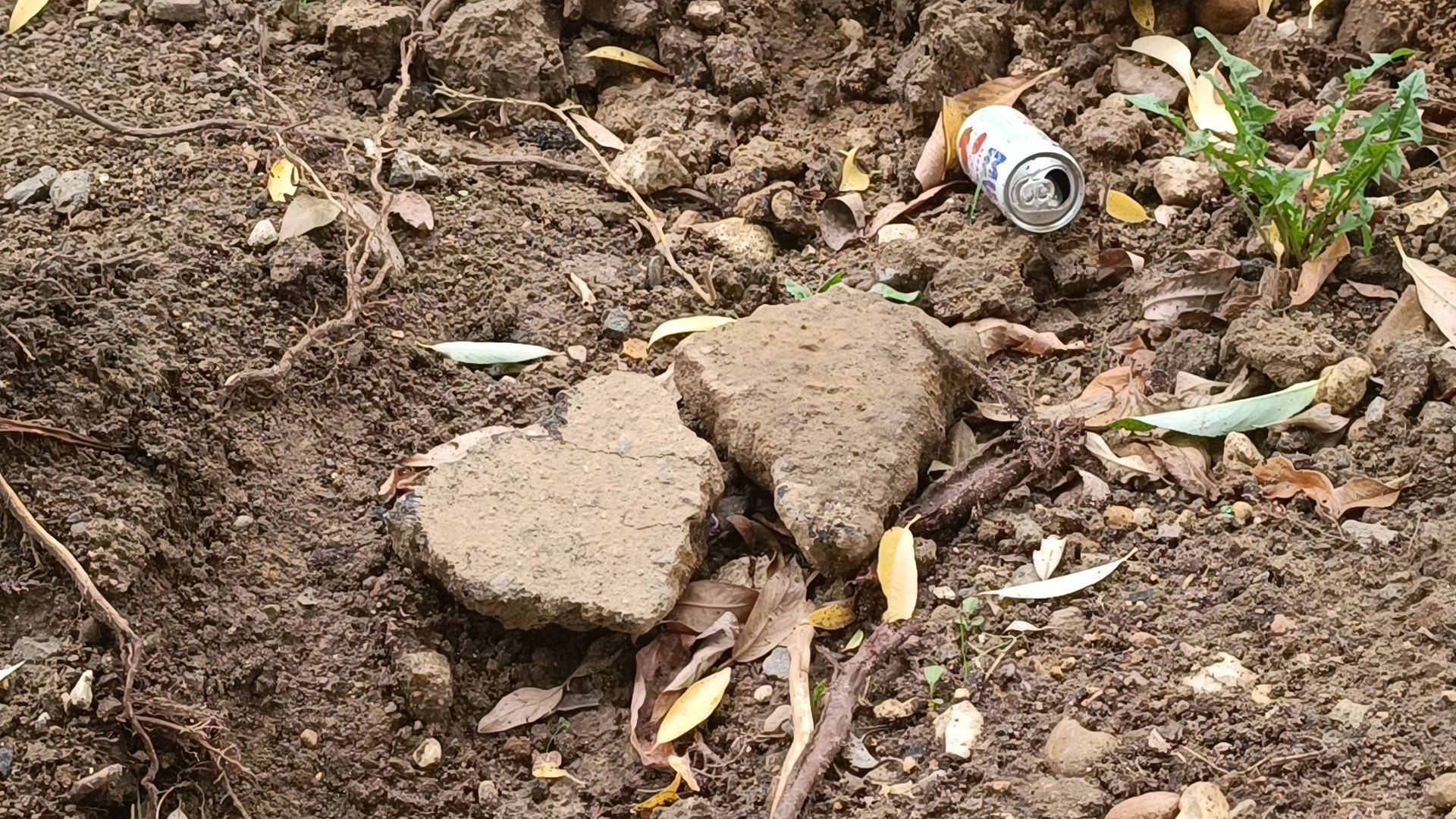 детская площадка, благоустройство, лобня,