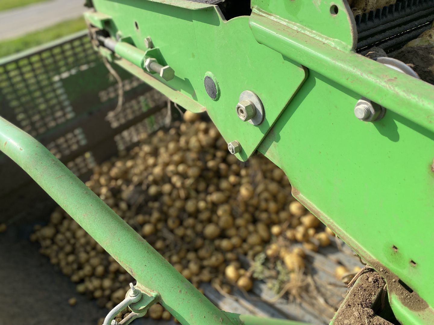 Коломна, Сельское хозяйство, уборочная кампания, картофель,