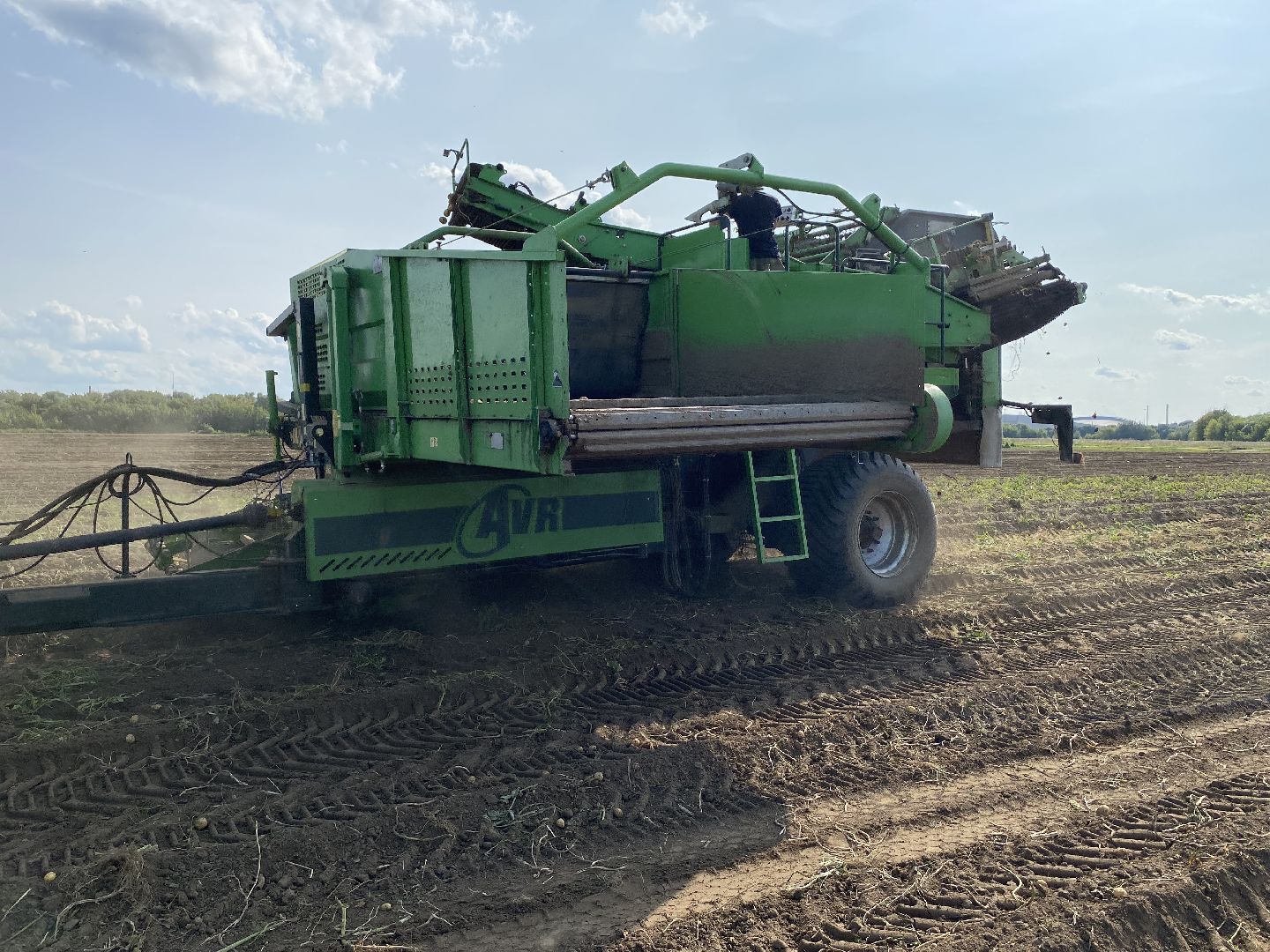 Коломна, Сельское хозяйство, уборочная кампания, картофель,