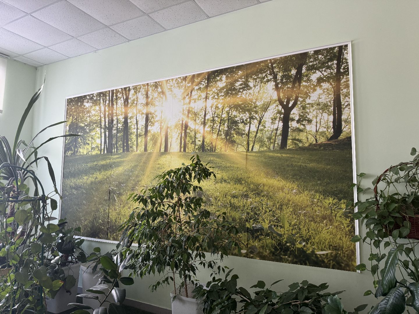 школа 2, фрязино, новый закон,