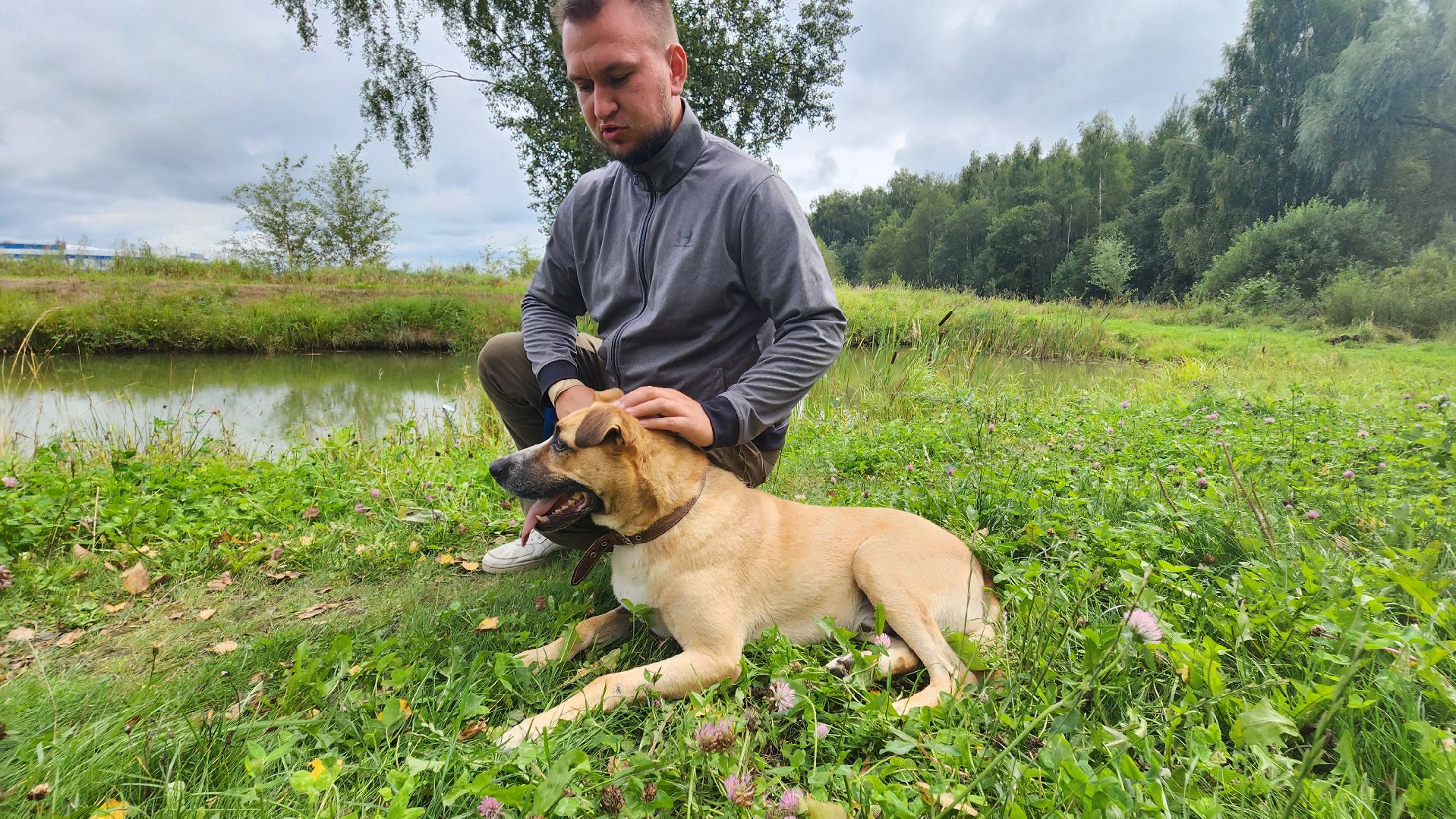 Солнечногорск, благотворительность, животные, волонтеры, пес Руфус,