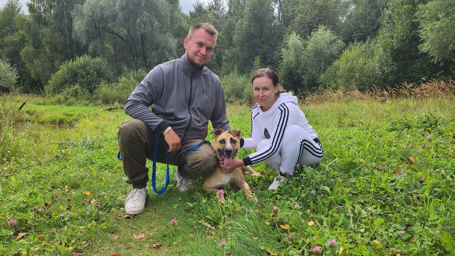 Солнечногорск, благотворительность, животные, волонтеры, пес Руфус,