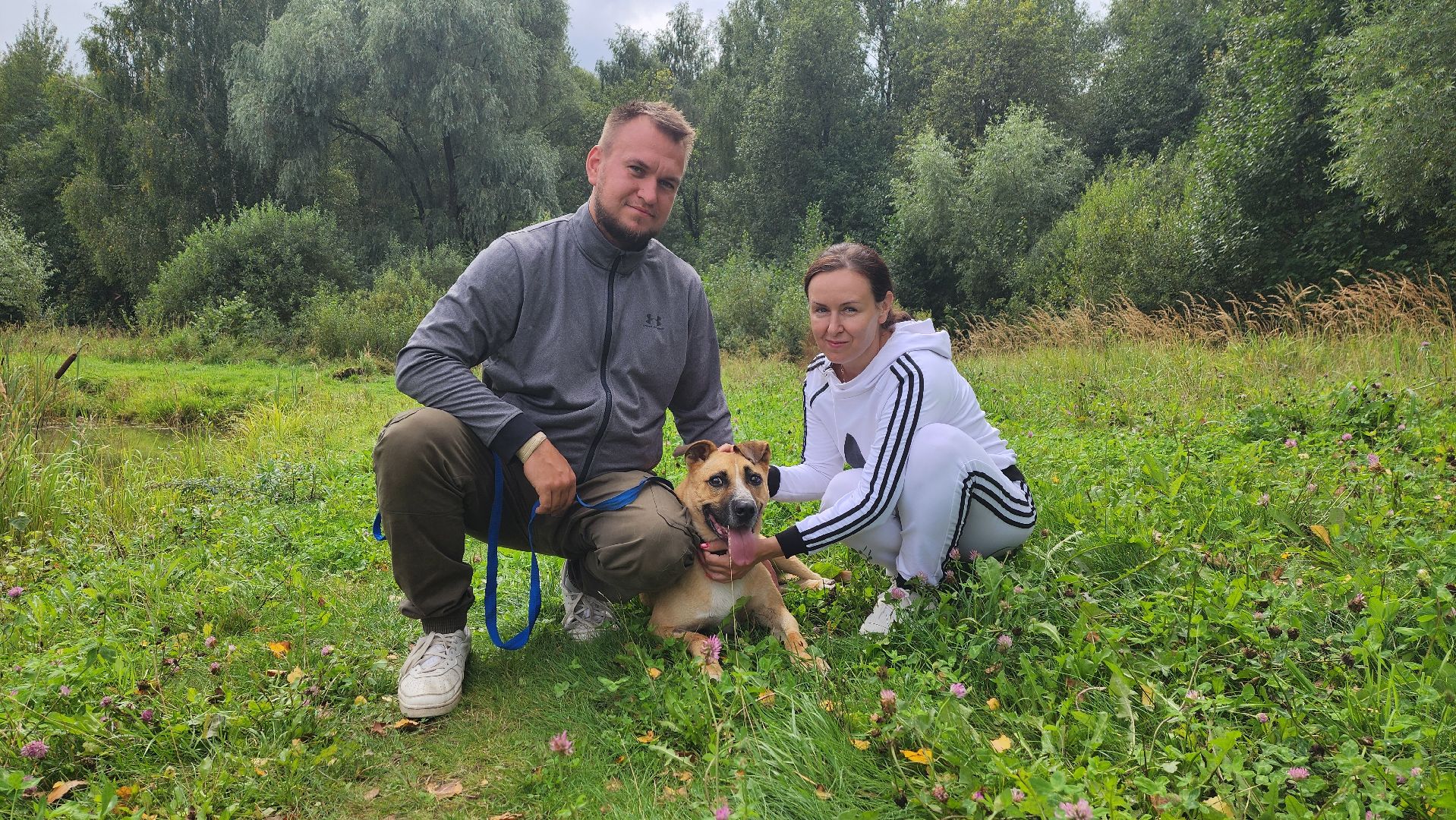 Солнечногорск, благотворительность, животные, волонтеры, пес Руфус,