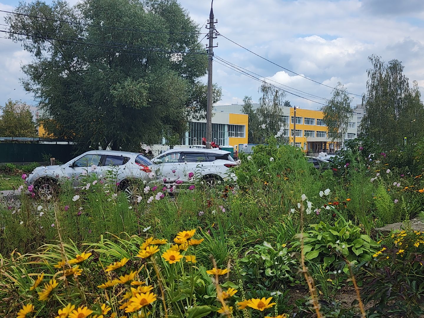 ремонт школ, орехово-зуевский округ, давыдово,