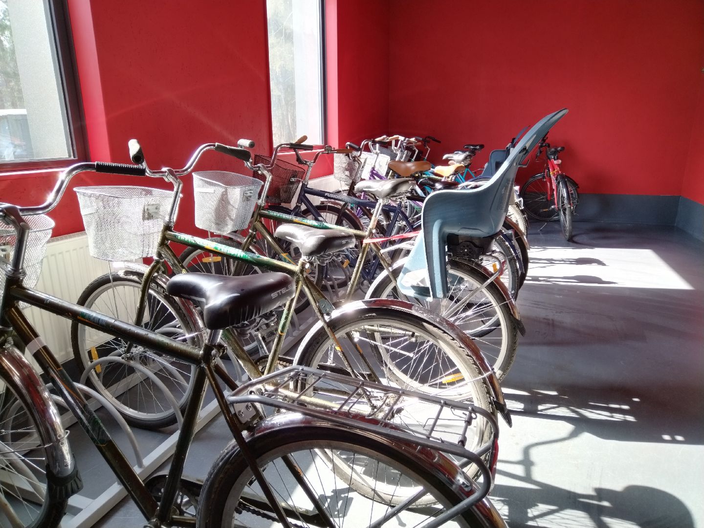 Парки, Мытищи, Лесопарк, прокат, велосезон, велопрокат