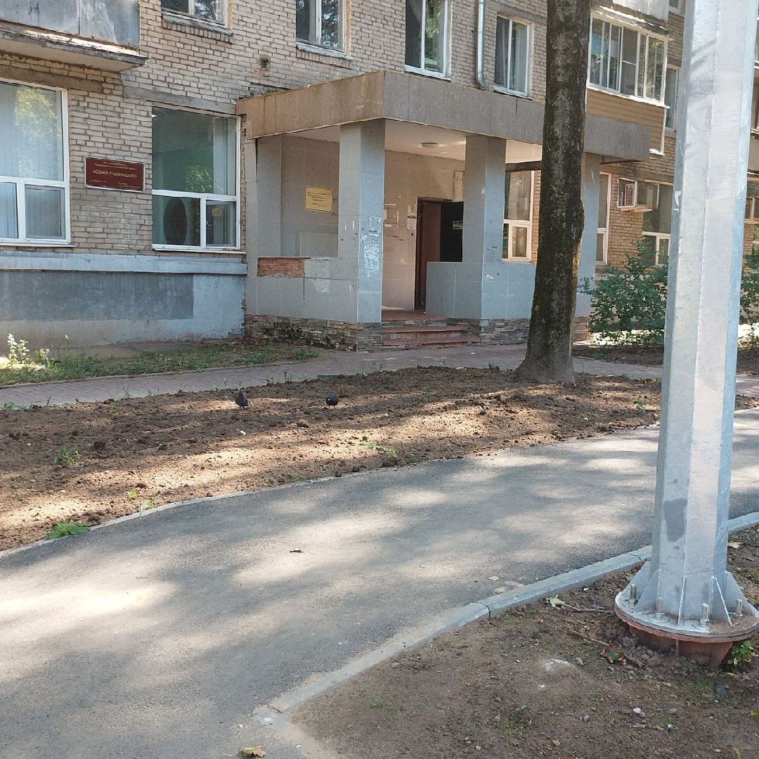 пушкино, газон, благоустройство, комплексное благоустройство, трава, коммунальная служба,