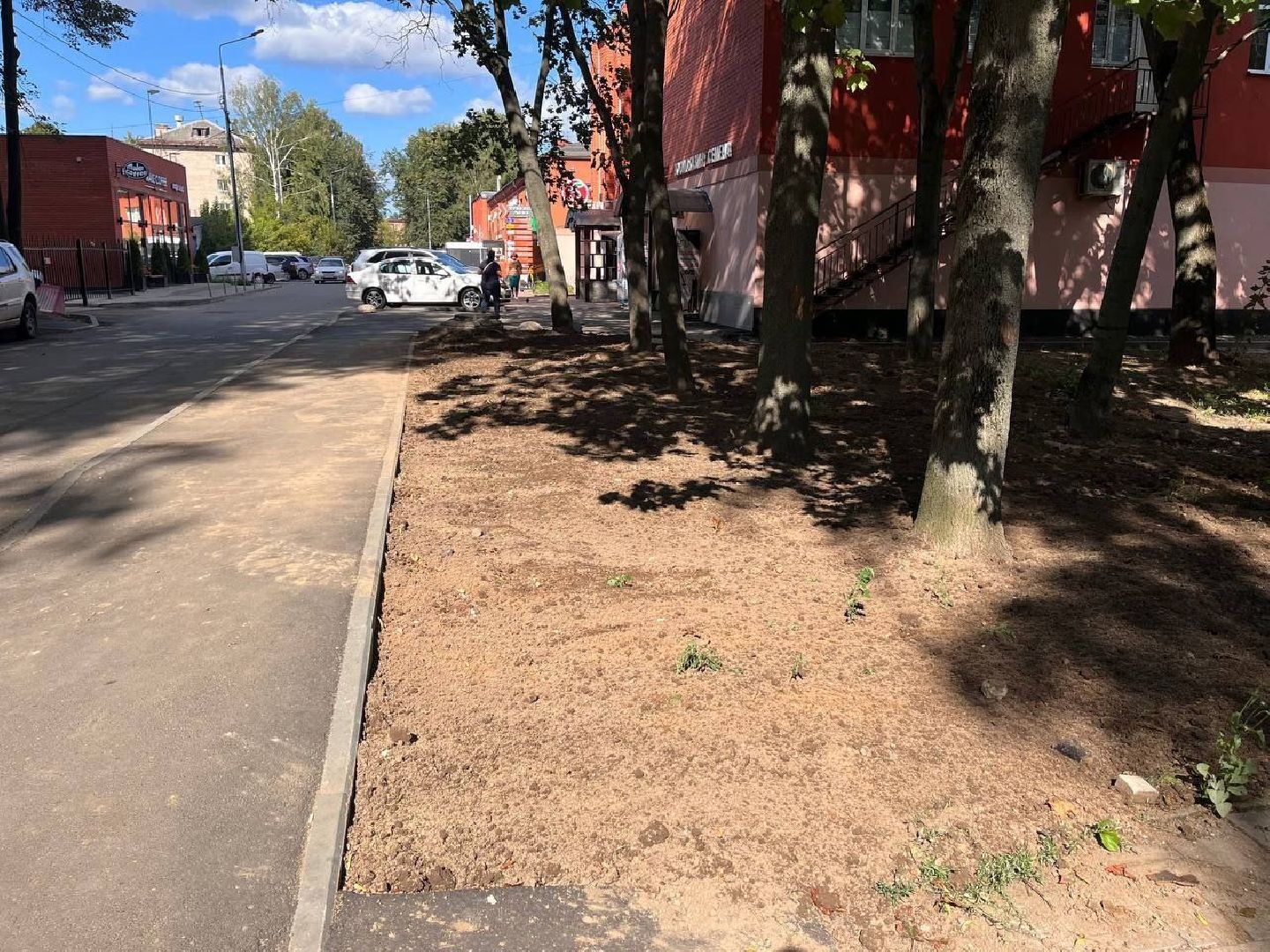 пушкино, газон, благоустройство, комплексное благоустройство, трава, коммунальная служба,