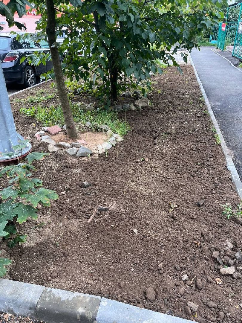 пушкино, газон, благоустройство, комплексное благоустройство, трава, коммунальная служба,