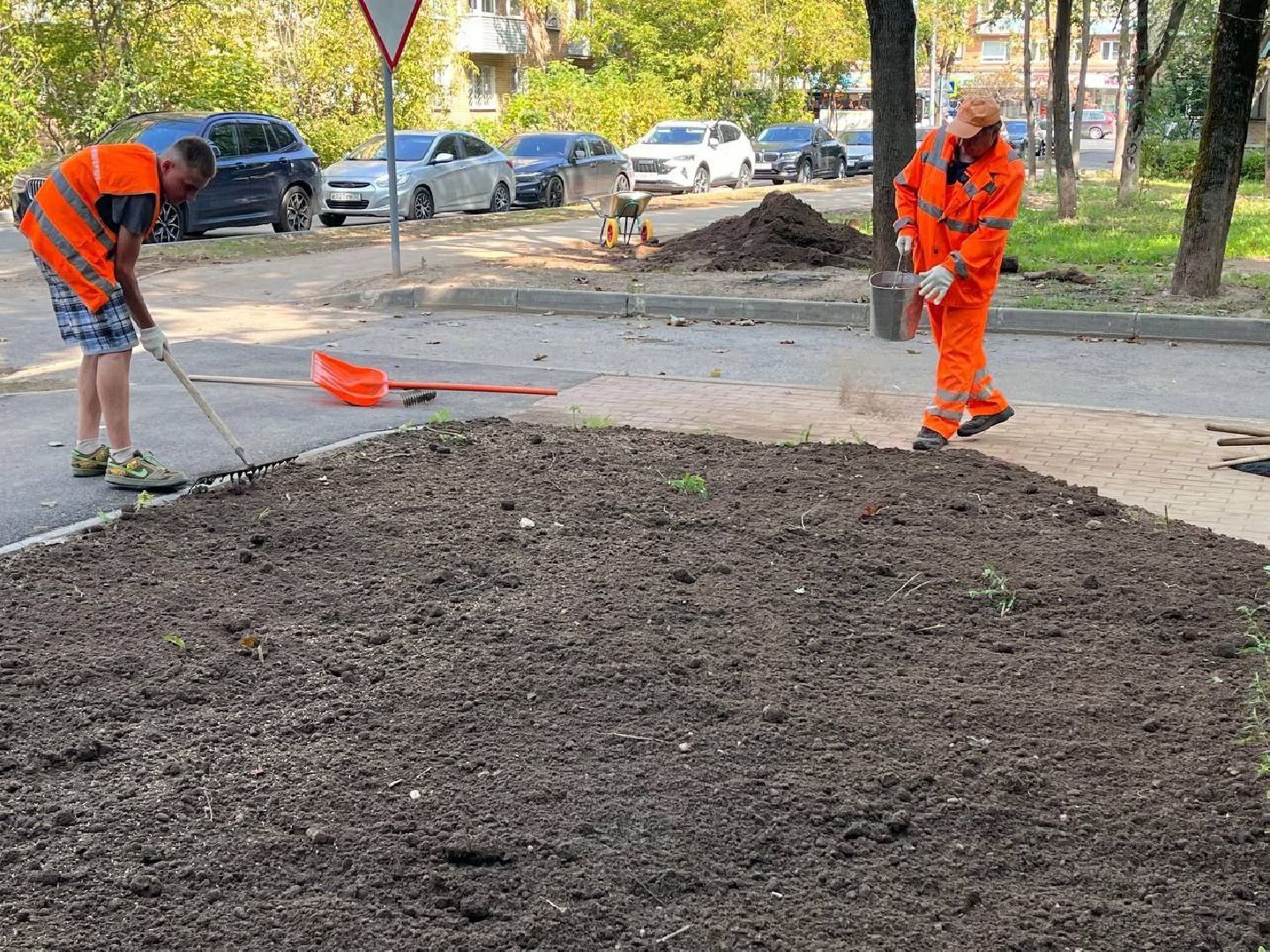 пушкино, газон, благоустройство, комплексное благоустройство, трава, коммунальная служба,