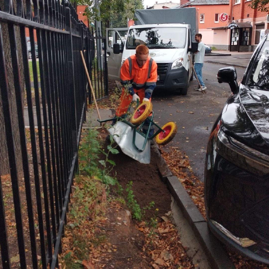 пушкино, газон, благоустройство, комплексное благоустройство, трава, коммунальная служба,