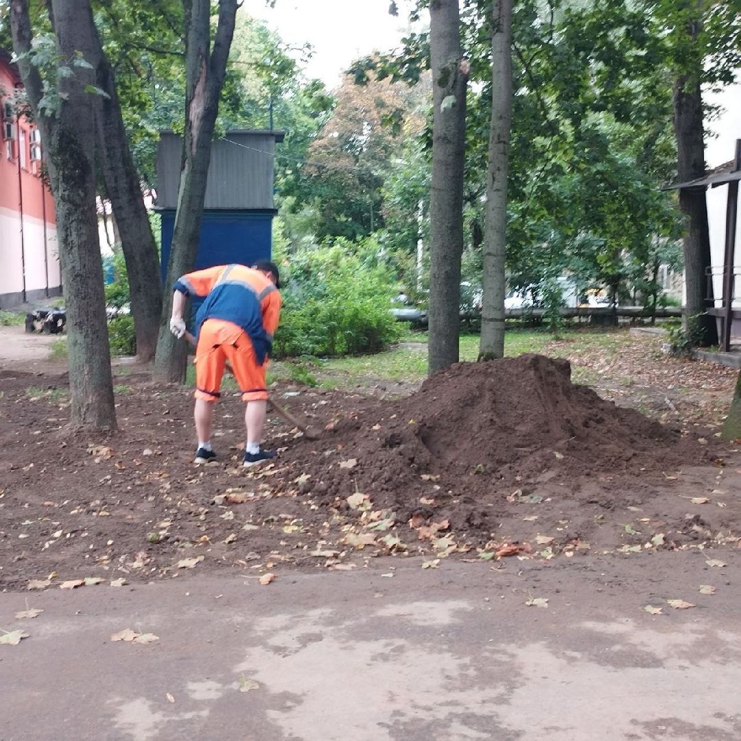 пушкино, газон, благоустройство, комплексное благоустройство, трава, коммунальная служба,