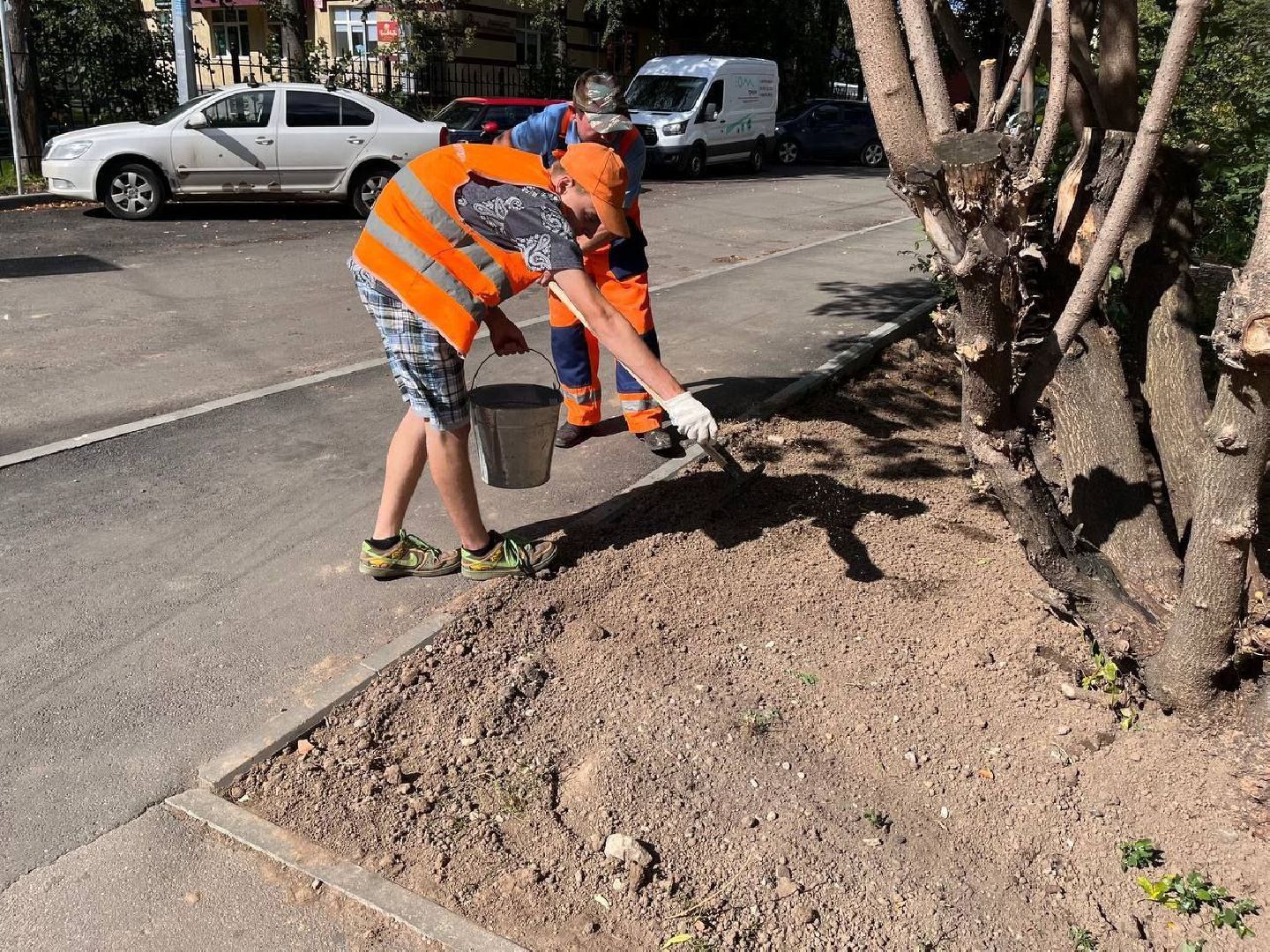 пушкино, газон, благоустройство, комплексное благоустройство, трава, коммунальная служба,