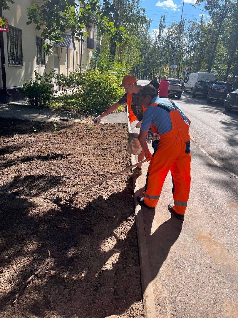 пушкино, газон, благоустройство, комплексное благоустройство, трава, коммунальная служба,