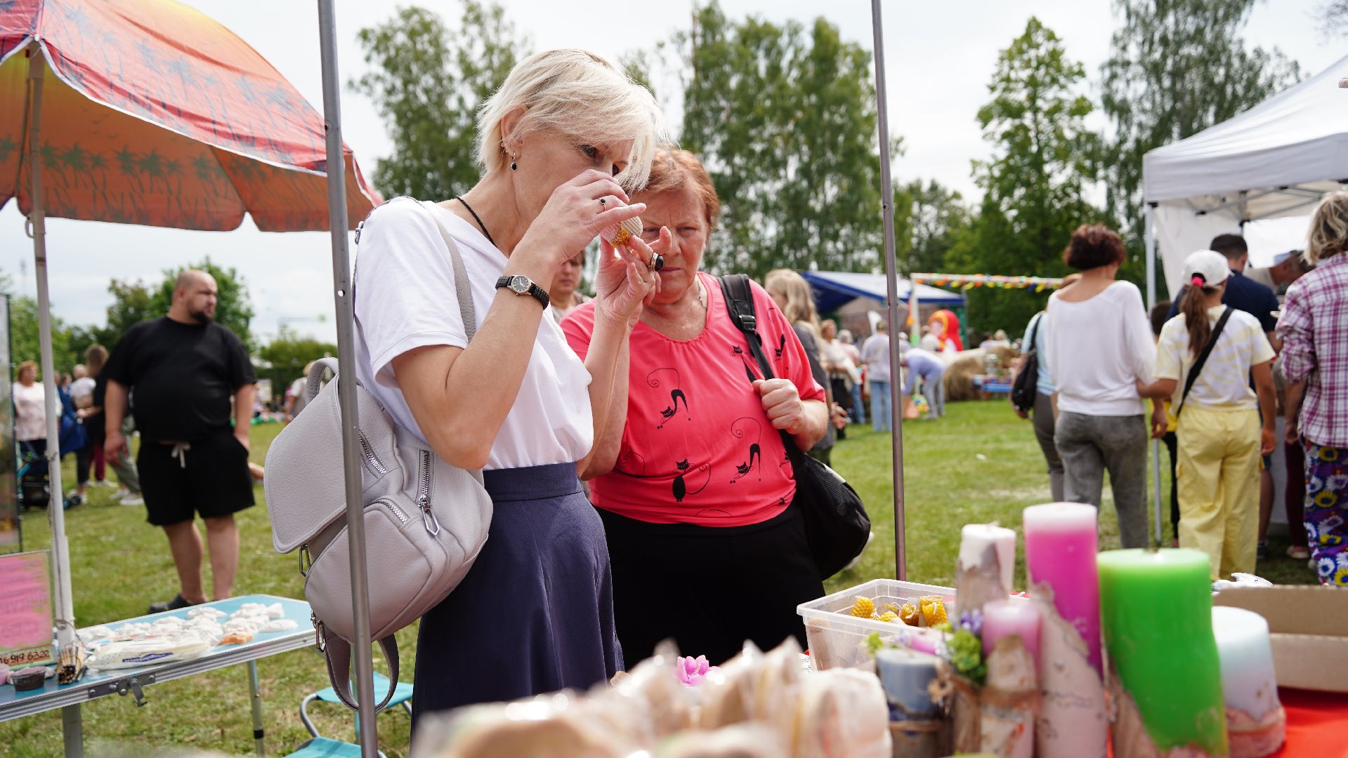 край мещерский - край богатый, Шатура, Большая Шатура, Кривандино, ярмарка, фестиваль, народные промыслы,