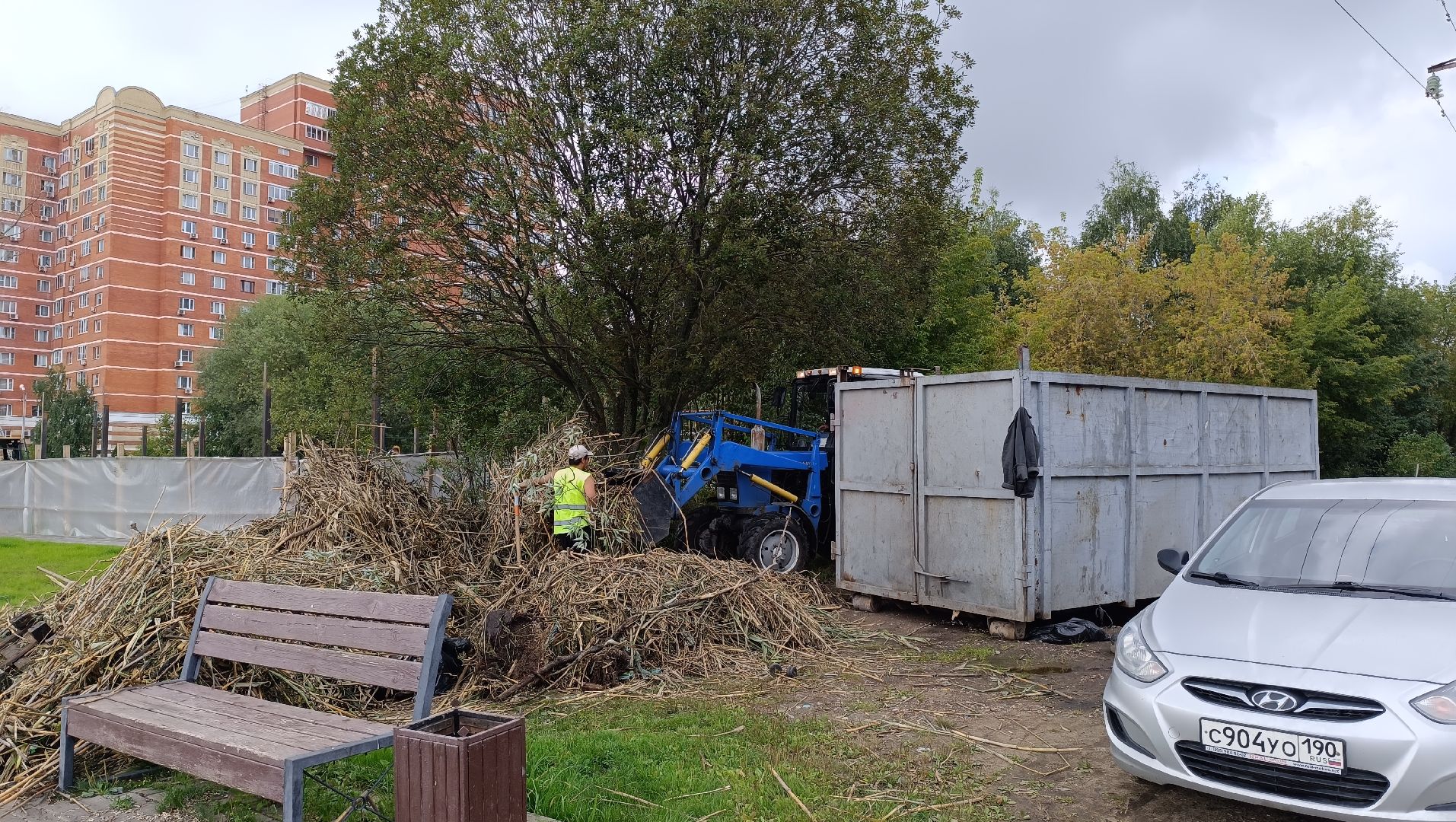 пруд, лобня, экология,