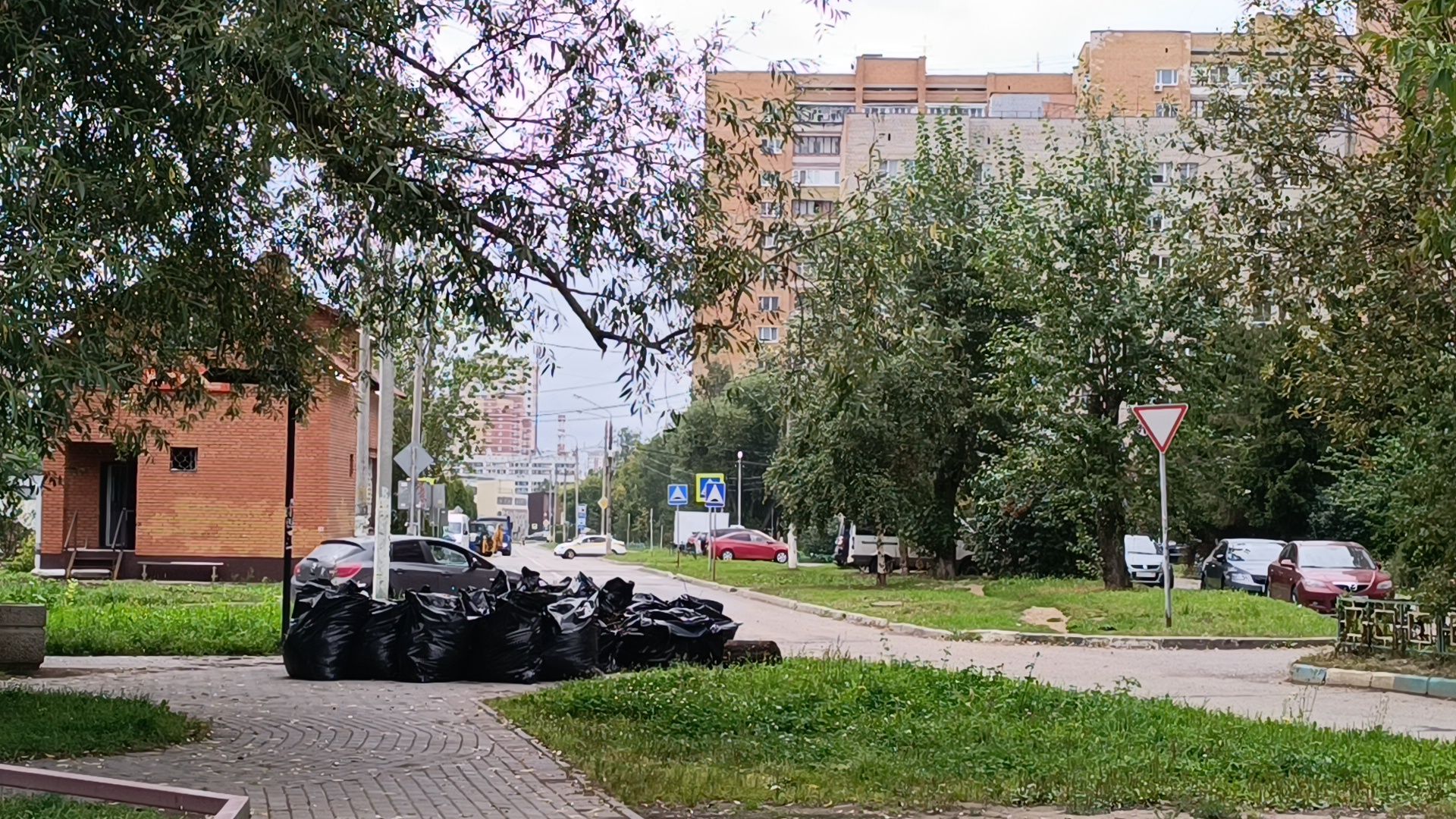 пруд, лобня, экология,