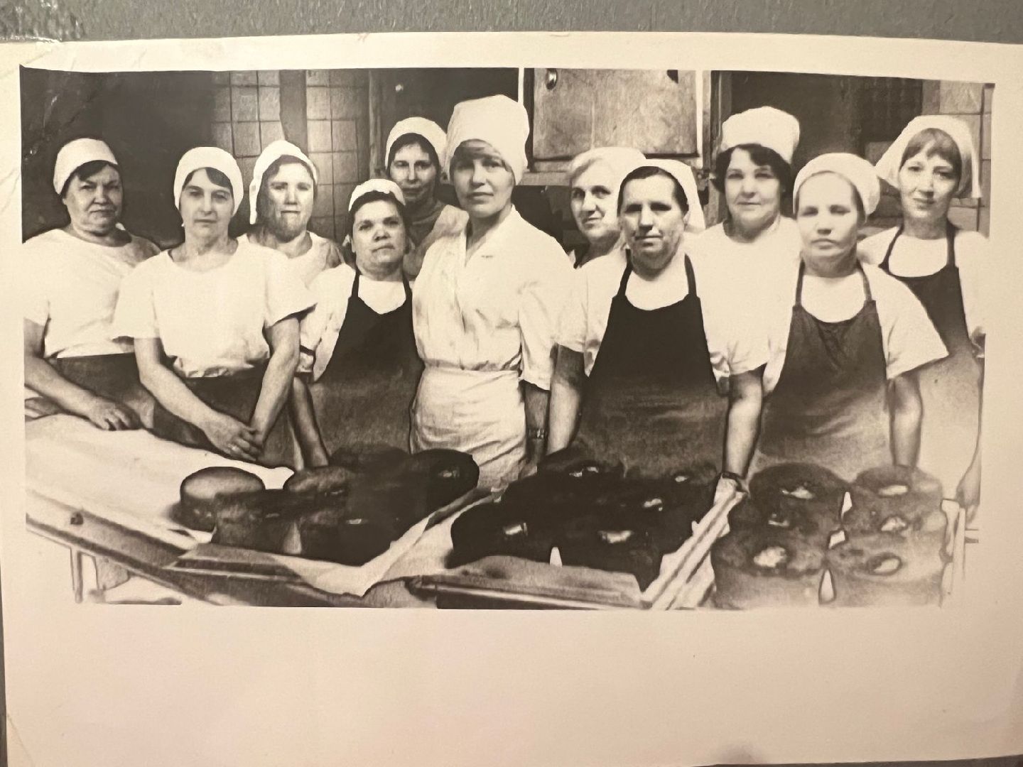 Солнечногорск, узники, концлагерь, освобождение, встреча