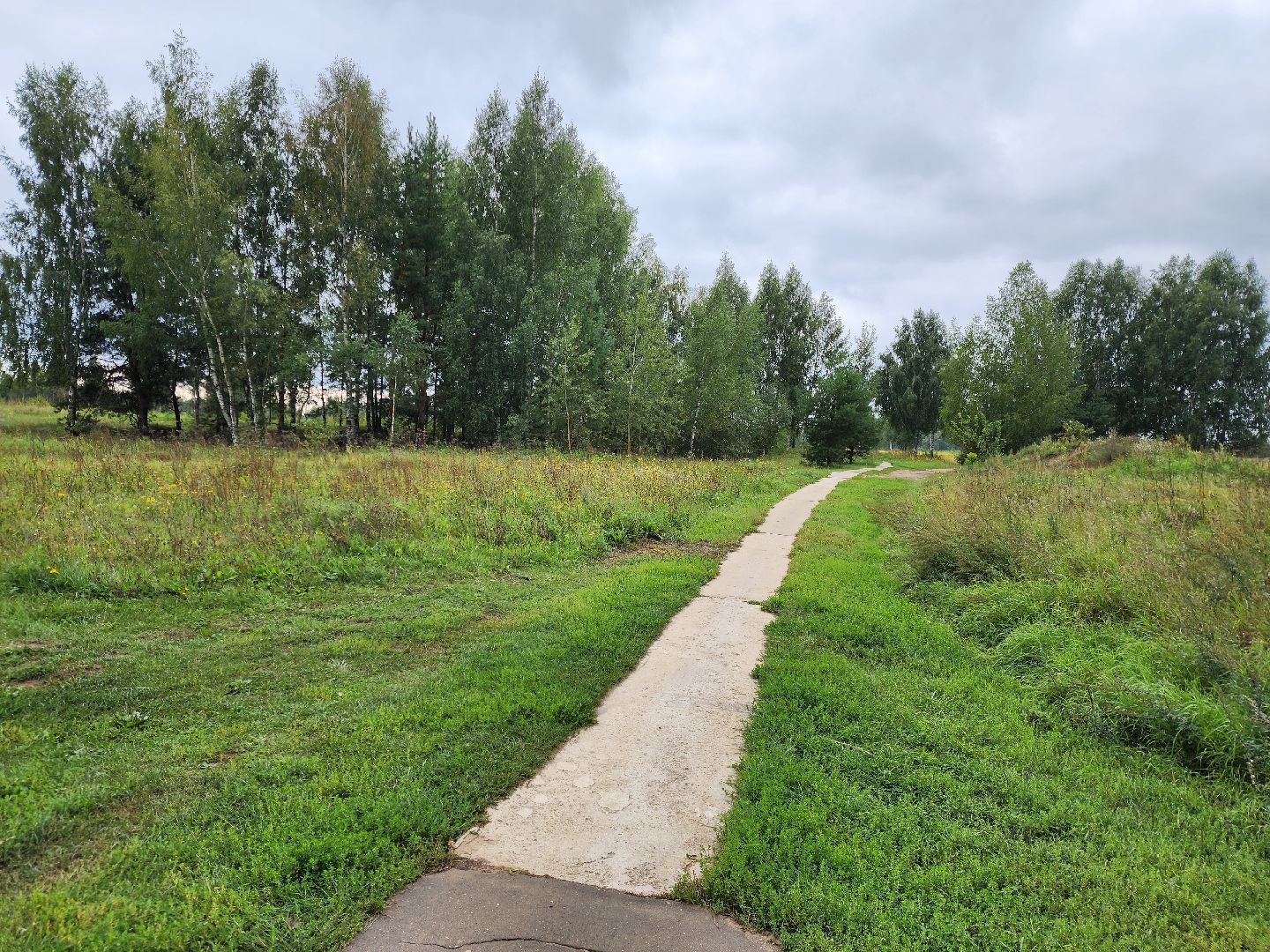 жители, общество, народная тропа, деревня стулово, благоустройство, богородский городской округ, власть,