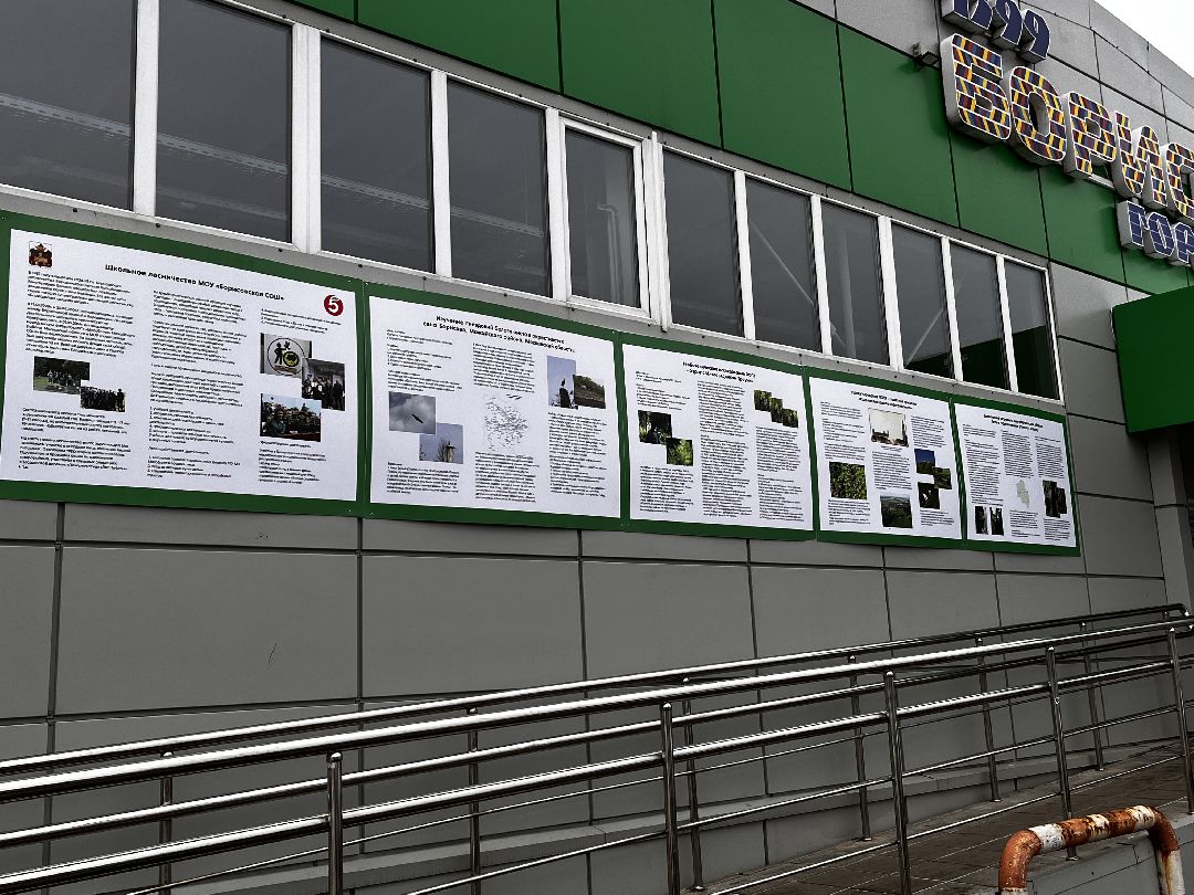 Можайск, общество