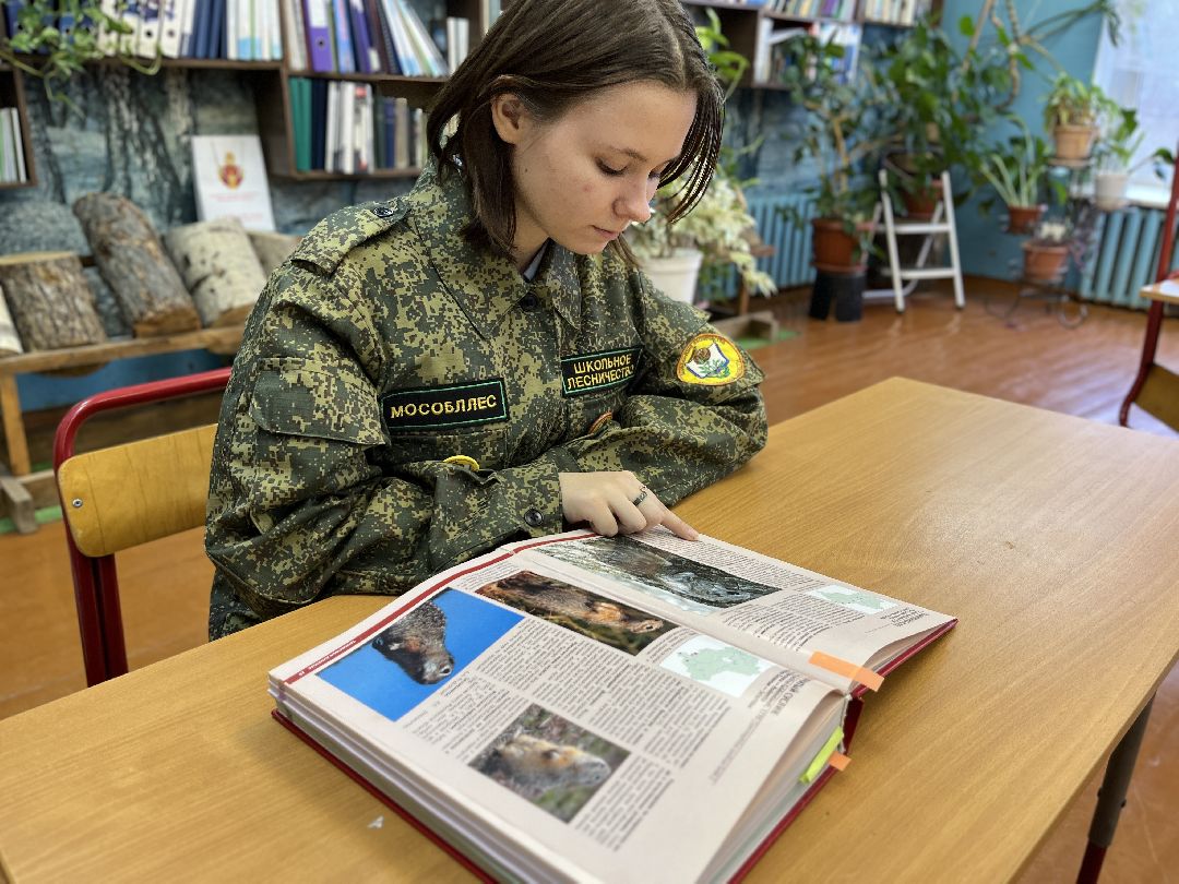 Можайск, общество