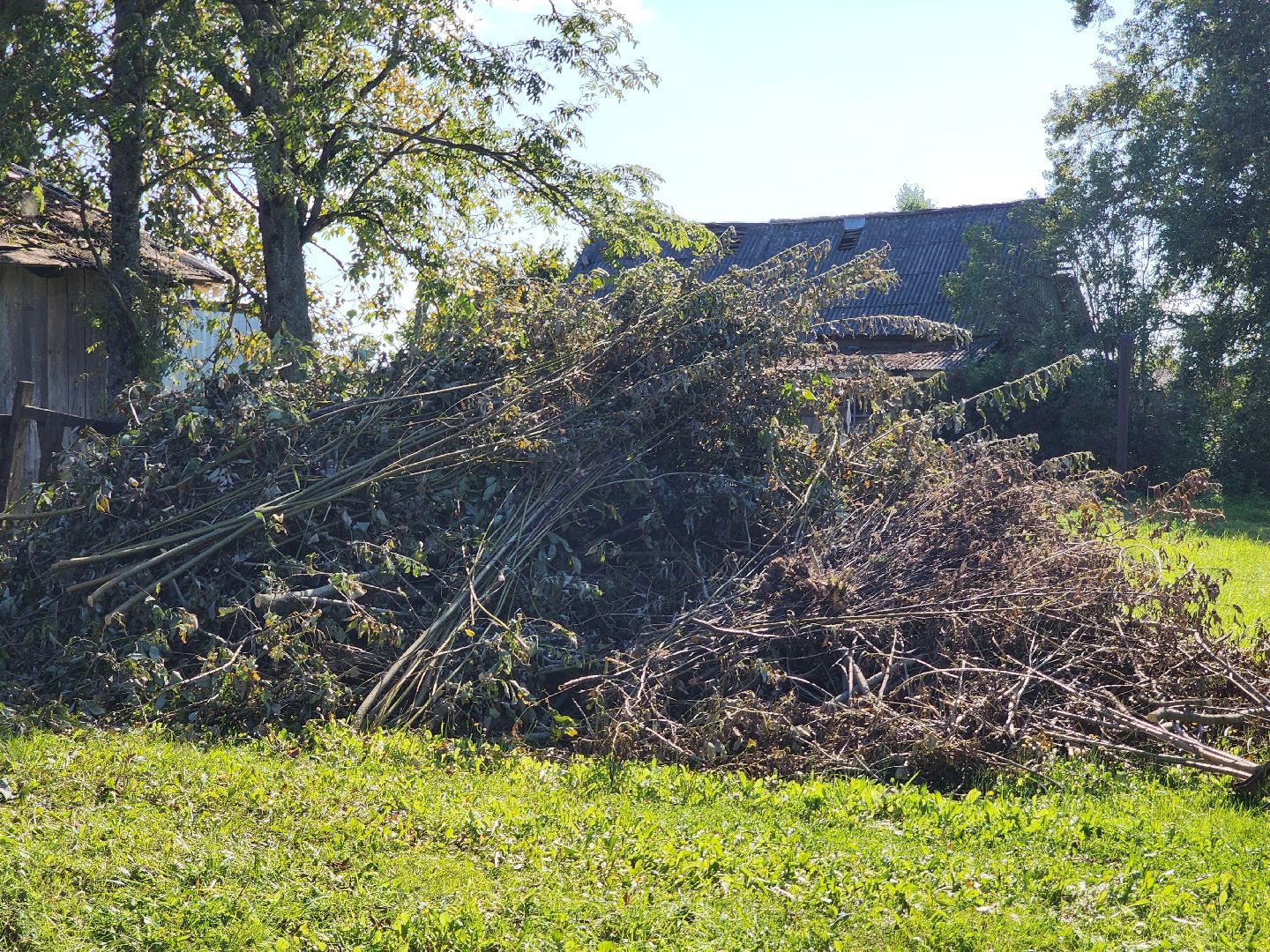 Противопожарный пруд, противопожарная безопасность, противопожарный водоем, можайск, калужское, можайский городской округ, московская область,