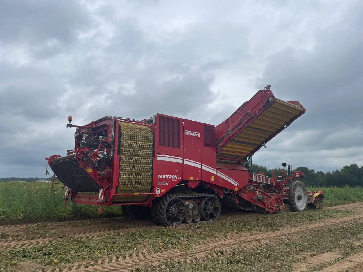 Дмитров, Агрохолдинг Дмитровские овощи, Минсельхоз,