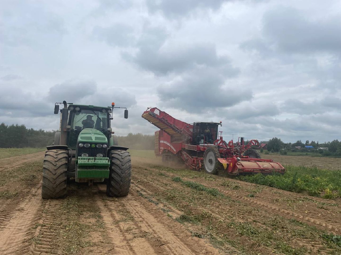 Дмитров, Агрохолдинг Дмитровские овощи, Минсельхоз,