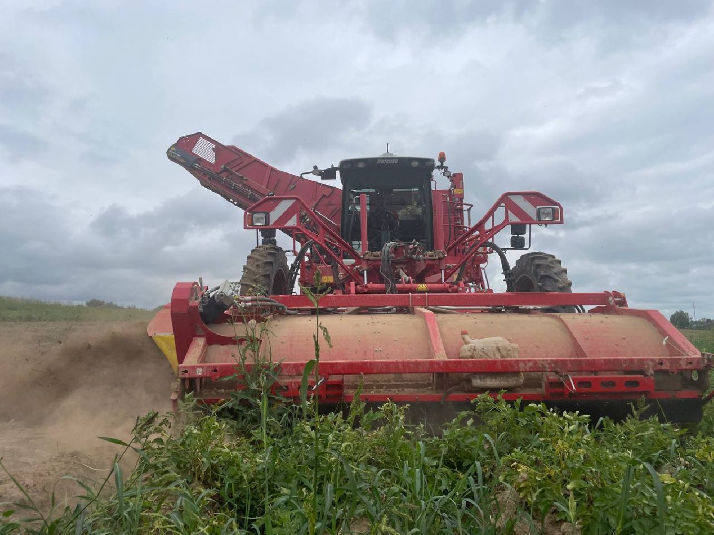 Дмитров, Агрохолдинг Дмитровские овощи, Минсельхоз,