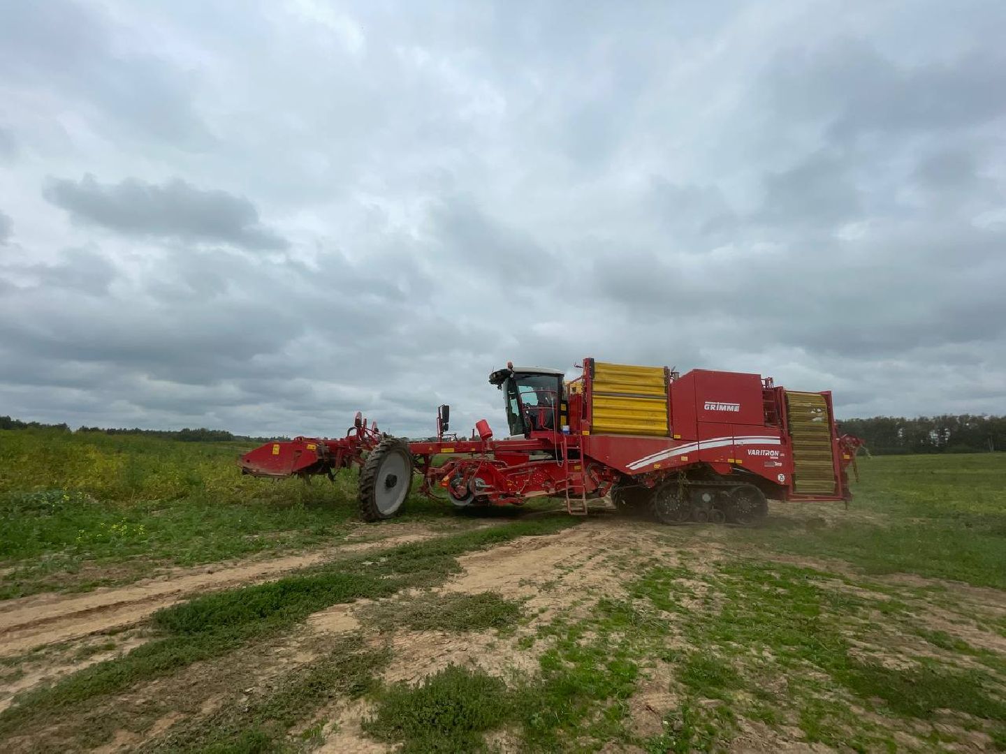 Дмитров, Агрохолдинг Дмитровские овощи, Минсельхоз,